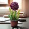 Caralluma umbellata Live Plant | Collector Choice Plant Live | Excotic Rare Plant | Succulent Plant | 1 Healthy Live Plant with Pot